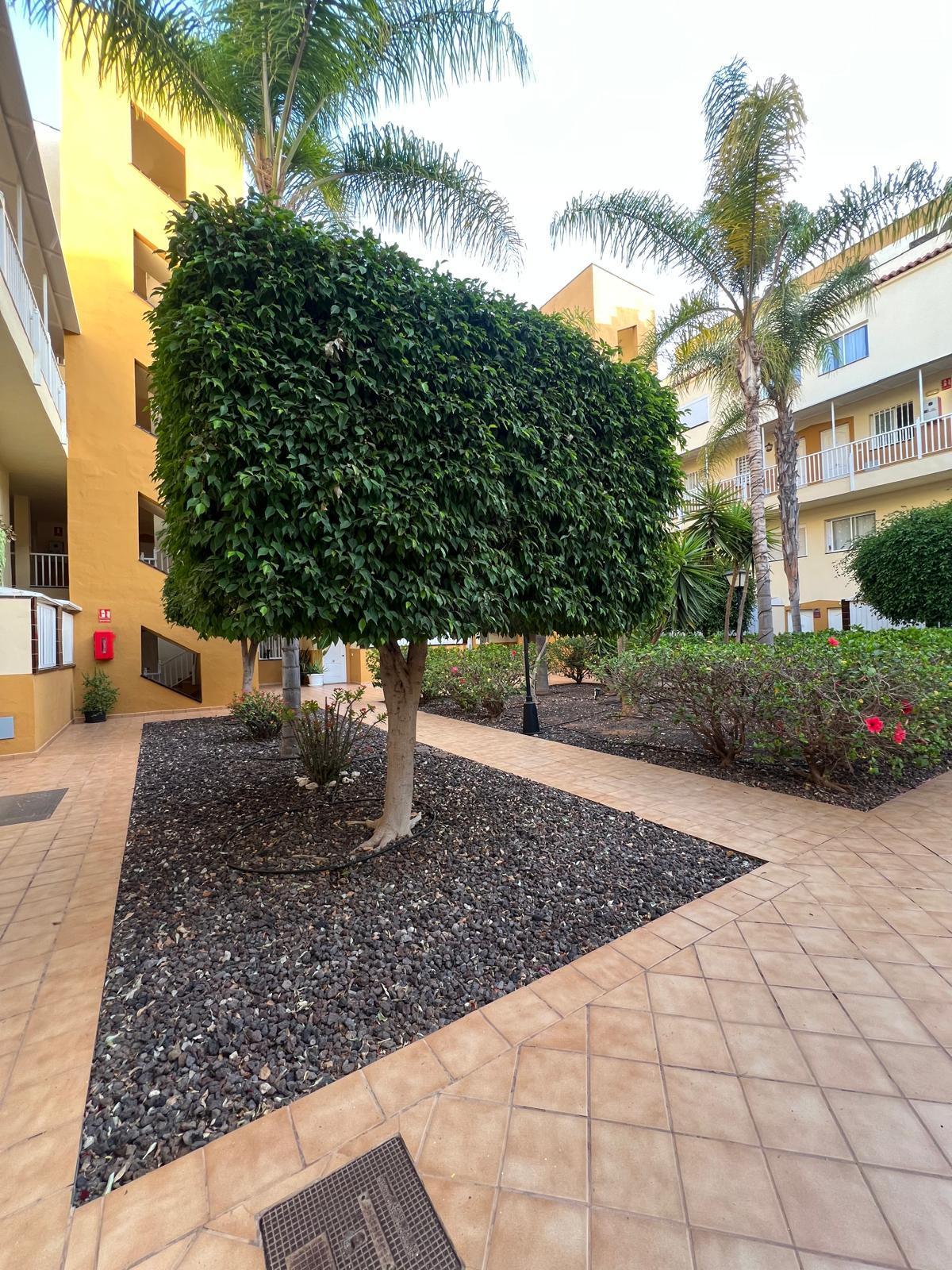 Venta de dúplex en Arona
