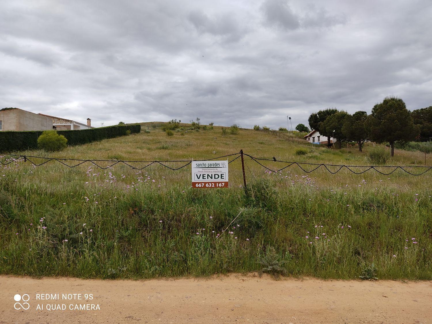 For sale of land in Mérida