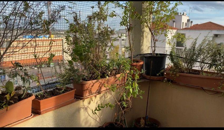 Venta de piso en Mérida