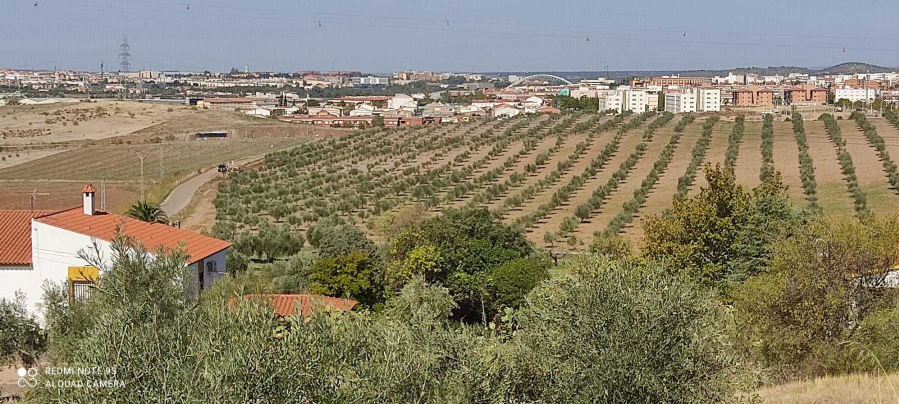 For sale of rural property in Mérida