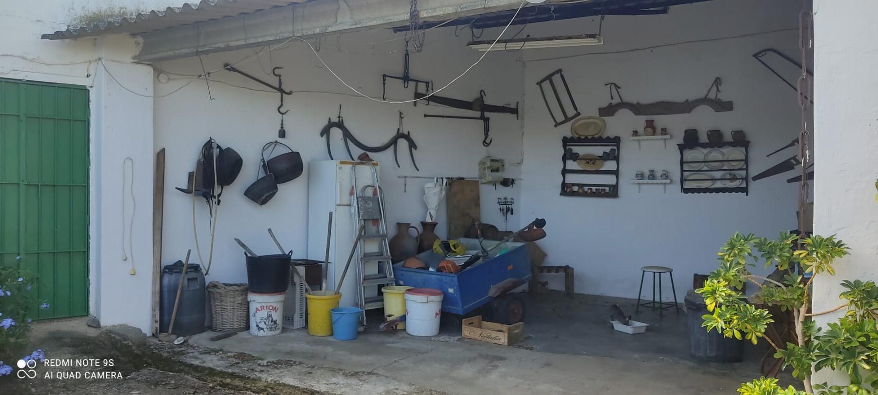 Venta de finca rústica en Mérida