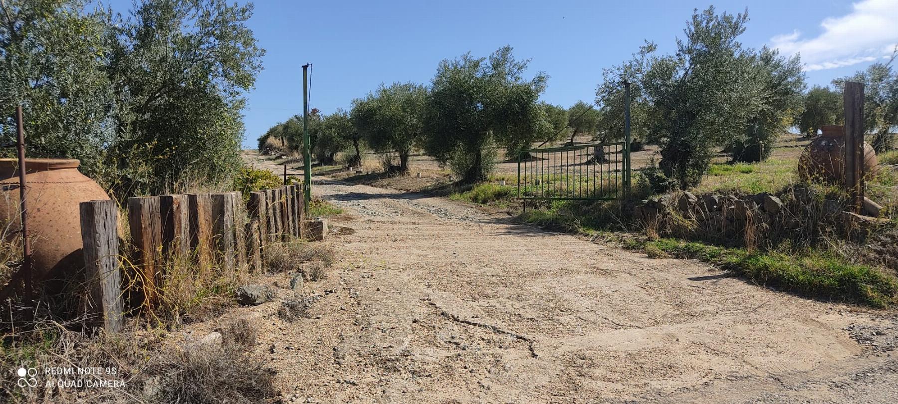 Venta de finca rústica en Mérida
