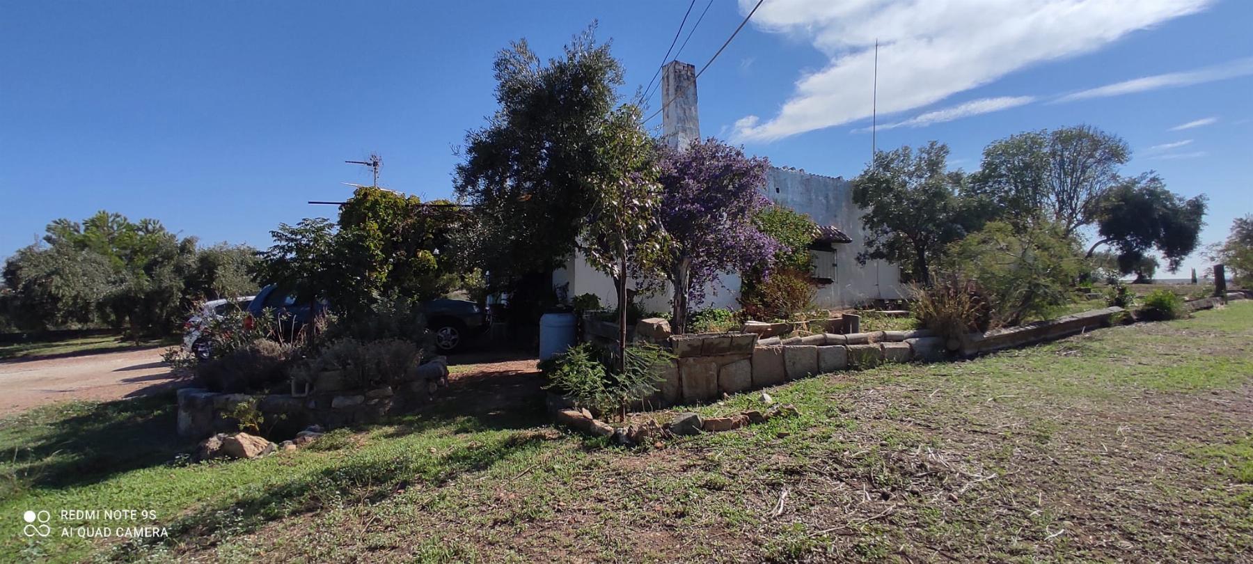 Venta de finca rústica en Mérida