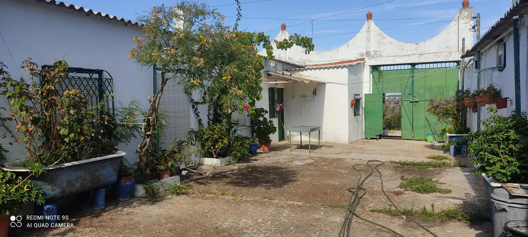 Venta de finca rústica en Mérida