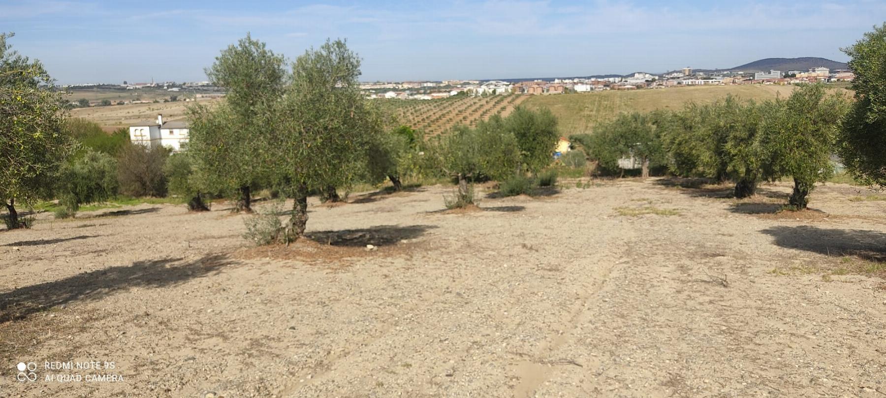 Venta de finca rústica en Mérida