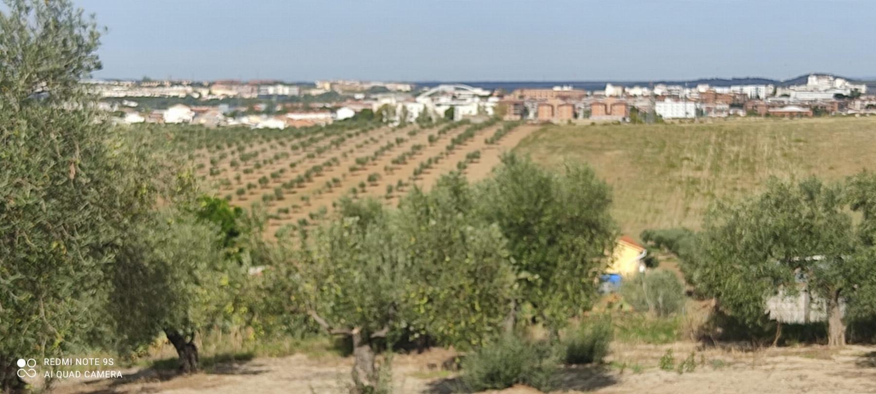 Venta de finca rústica en Mérida