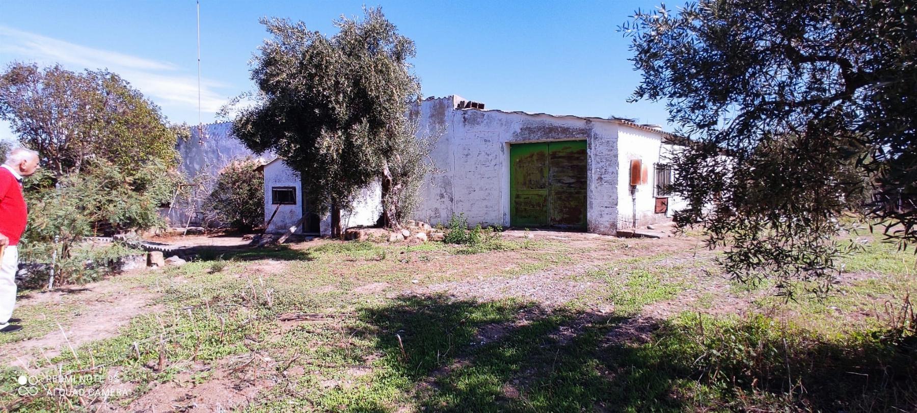 Venta de finca rústica en Mérida