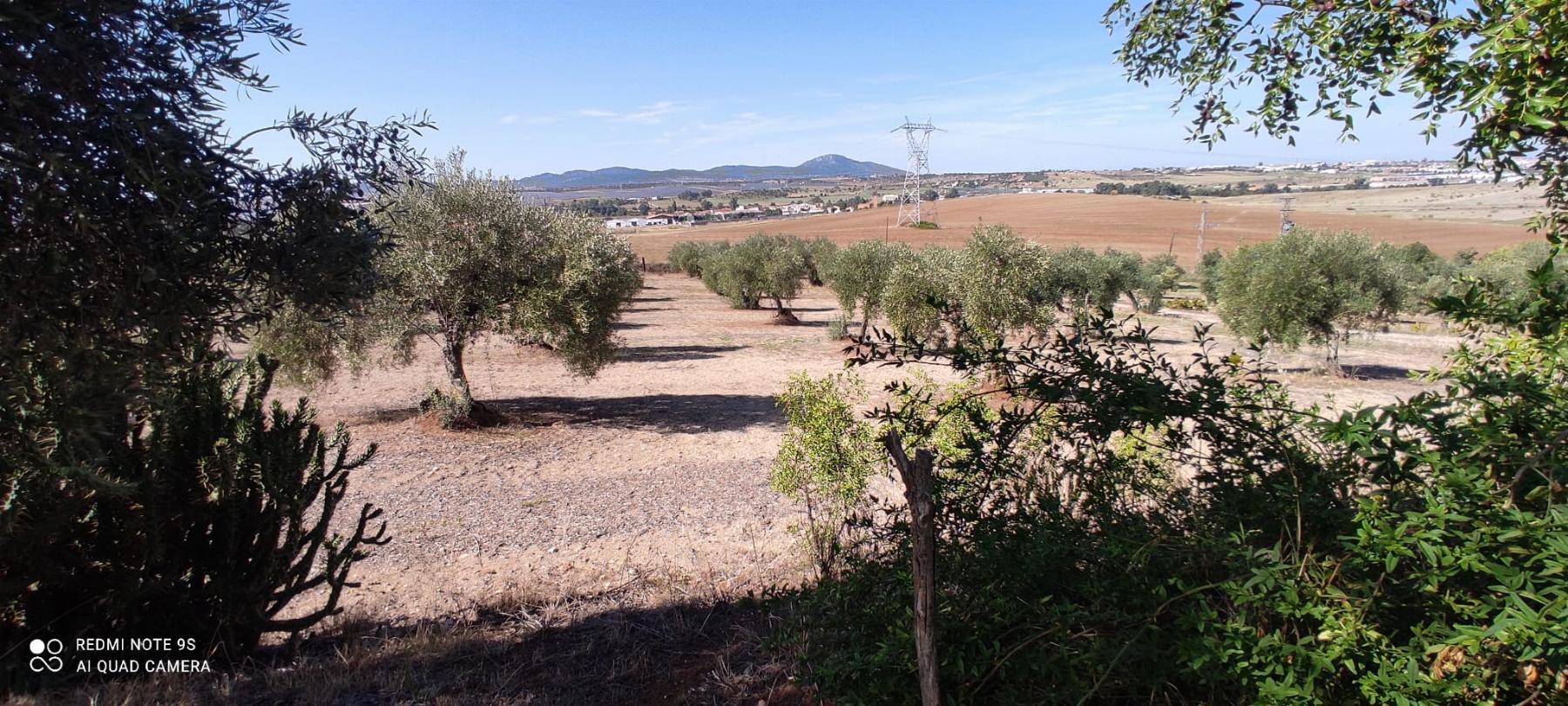 Venta de finca rústica en Mérida