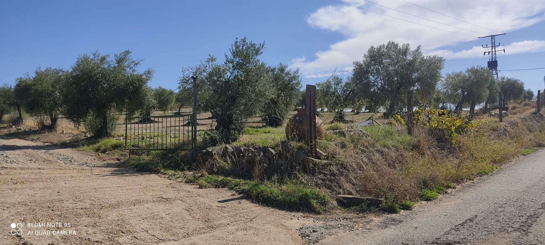 Venta de finca rústica en Mérida