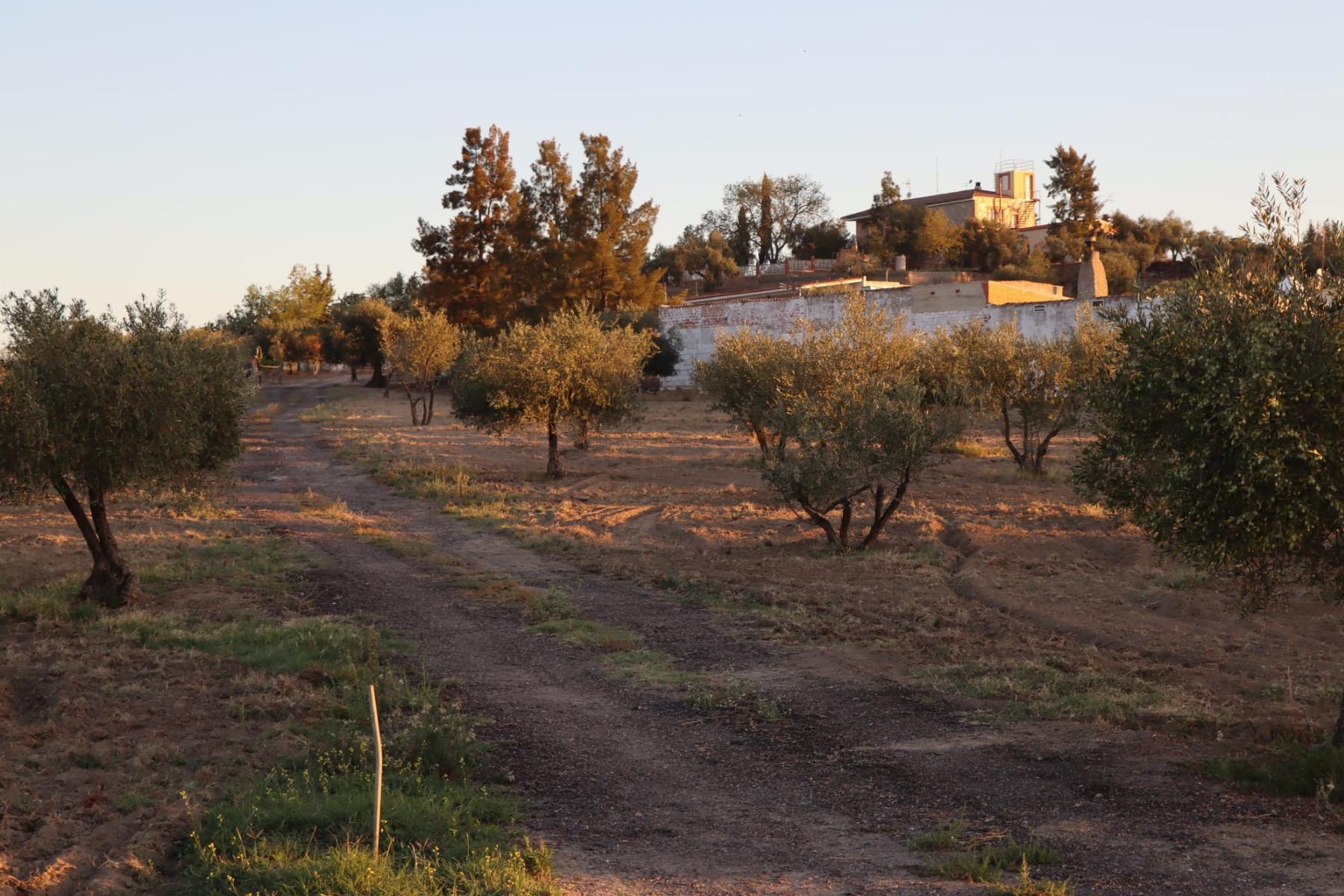 For sale of rural property in Mérida