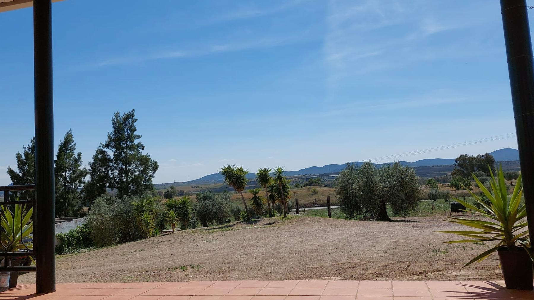 For sale of rural property in Mérida