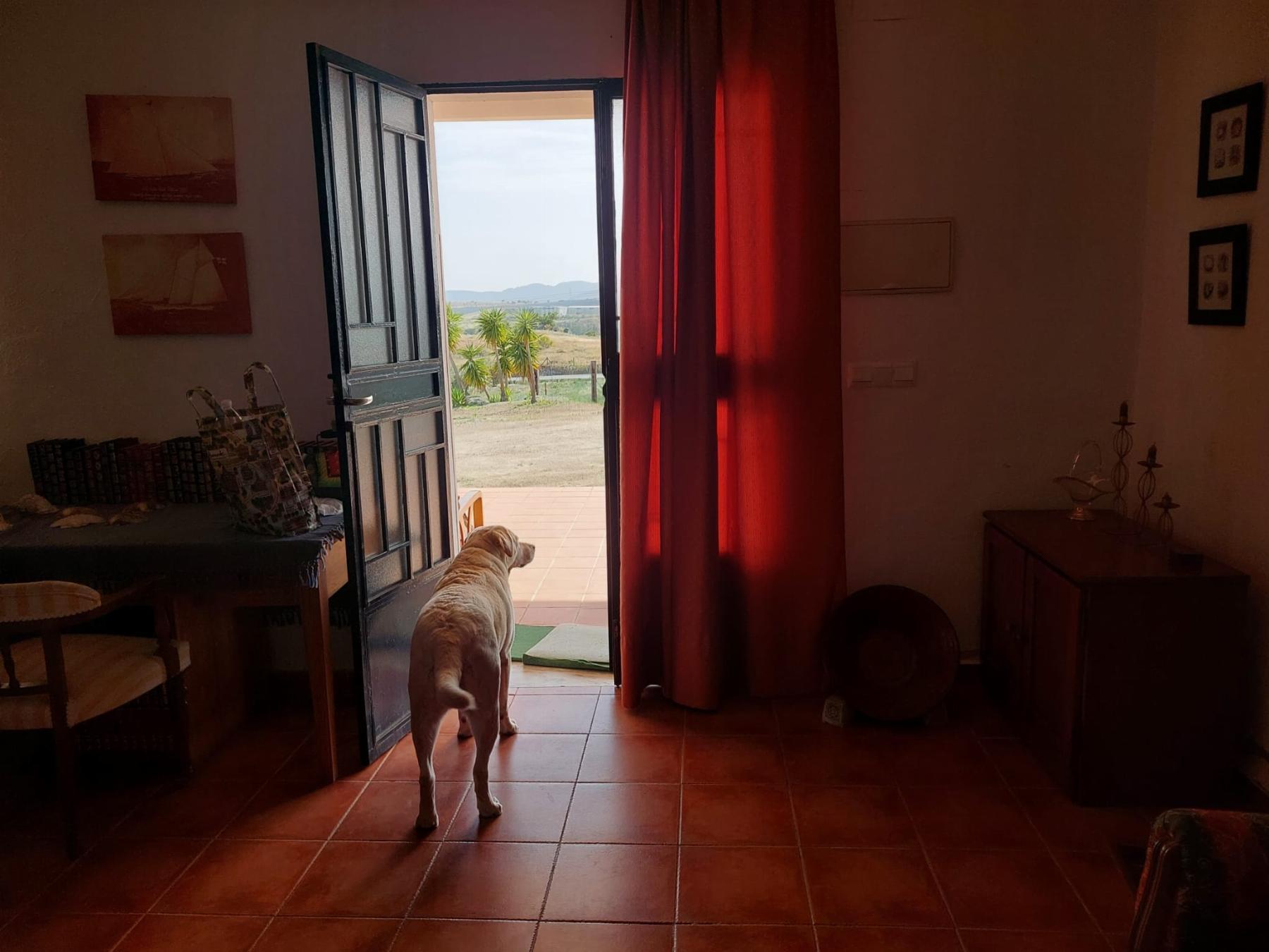 For sale of rural property in Mérida