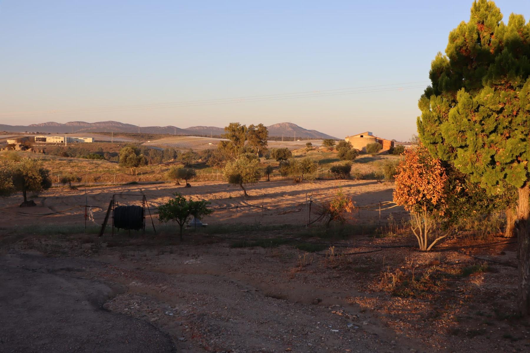For sale of rural property in Mérida