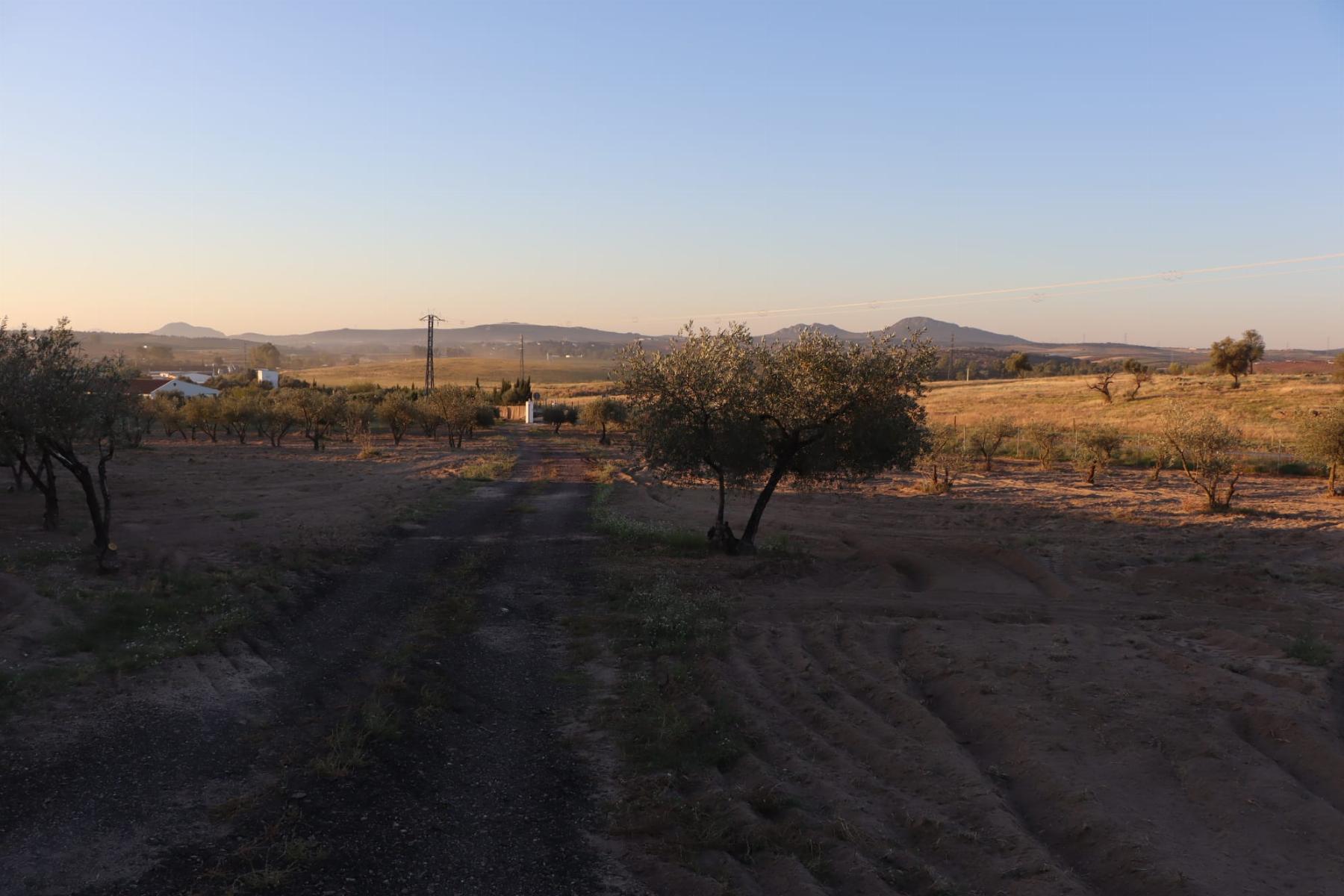 For sale of rural property in Mérida