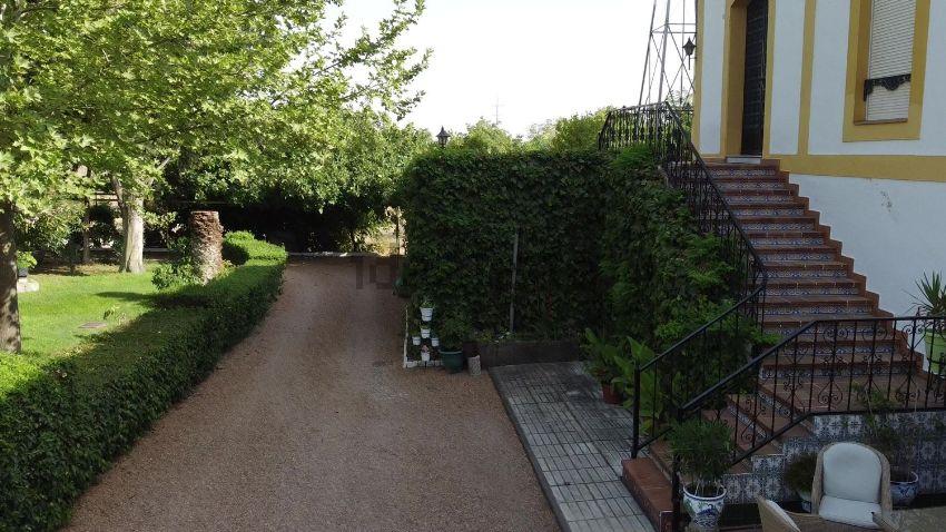 Venta de finca rústica en Mérida