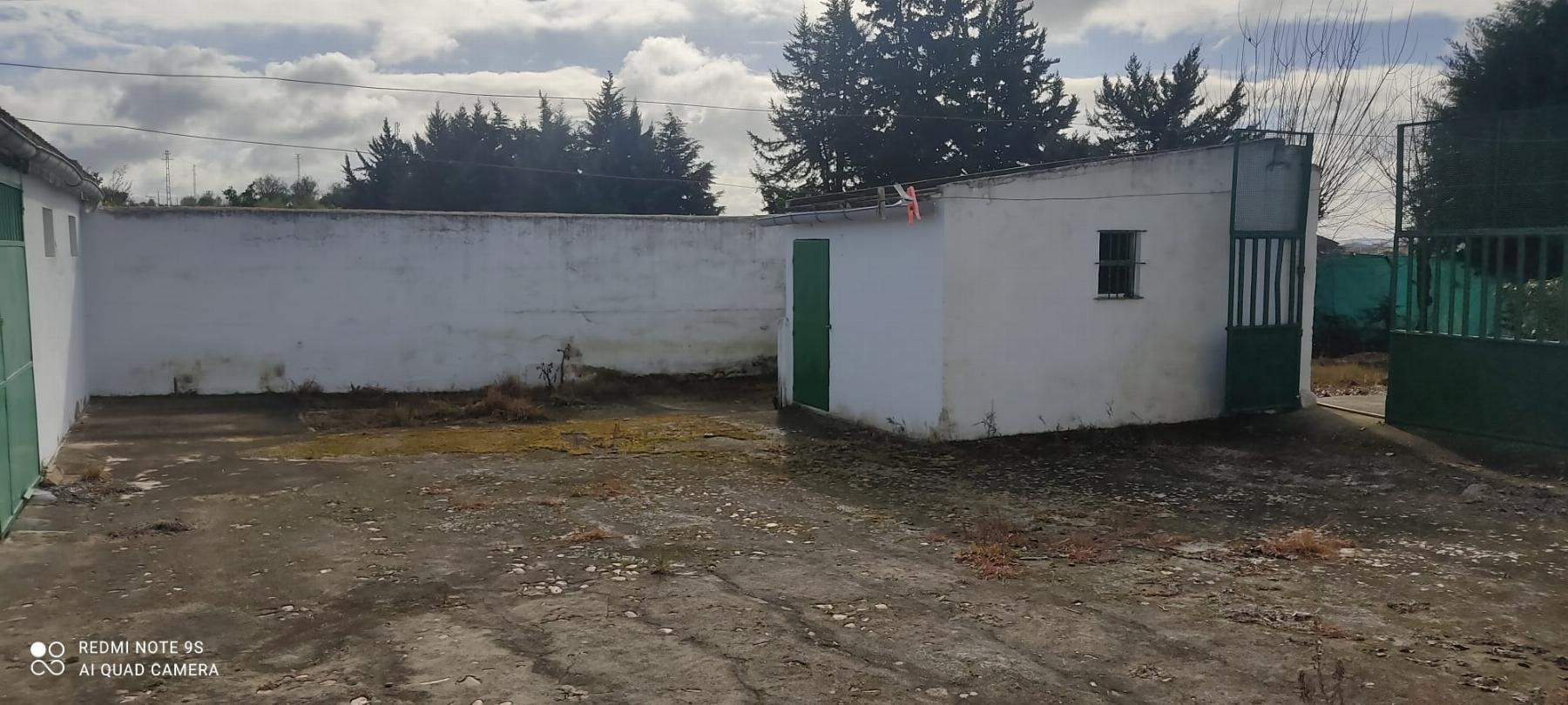 For sale of rural property in Mérida