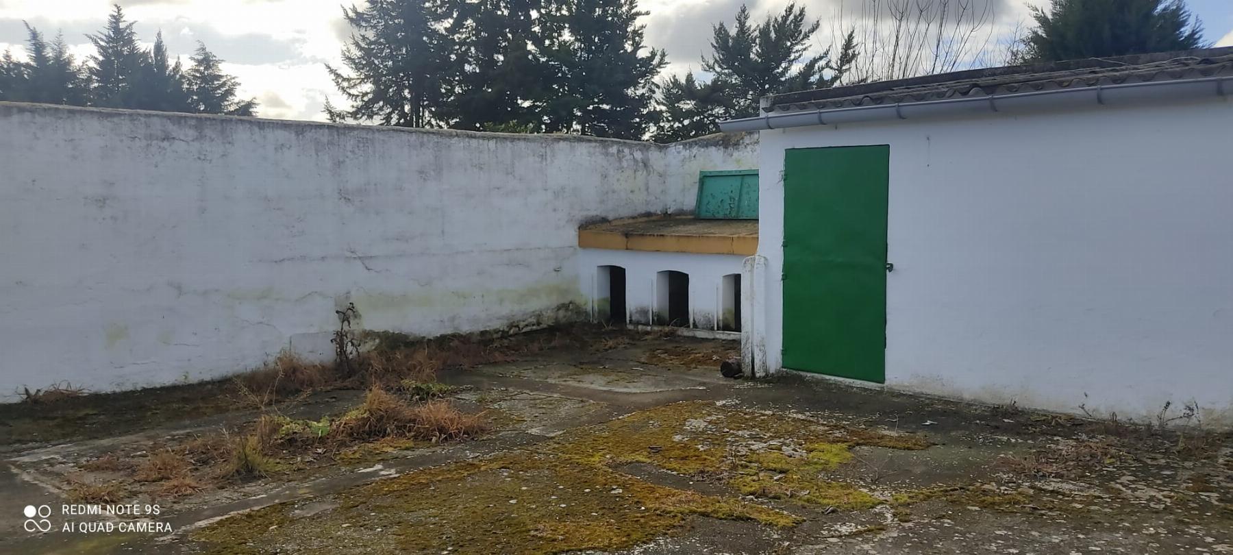 For sale of rural property in Mérida