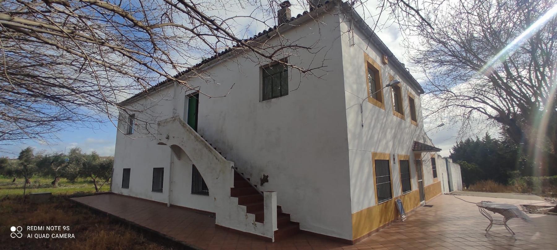 For sale of rural property in Mérida