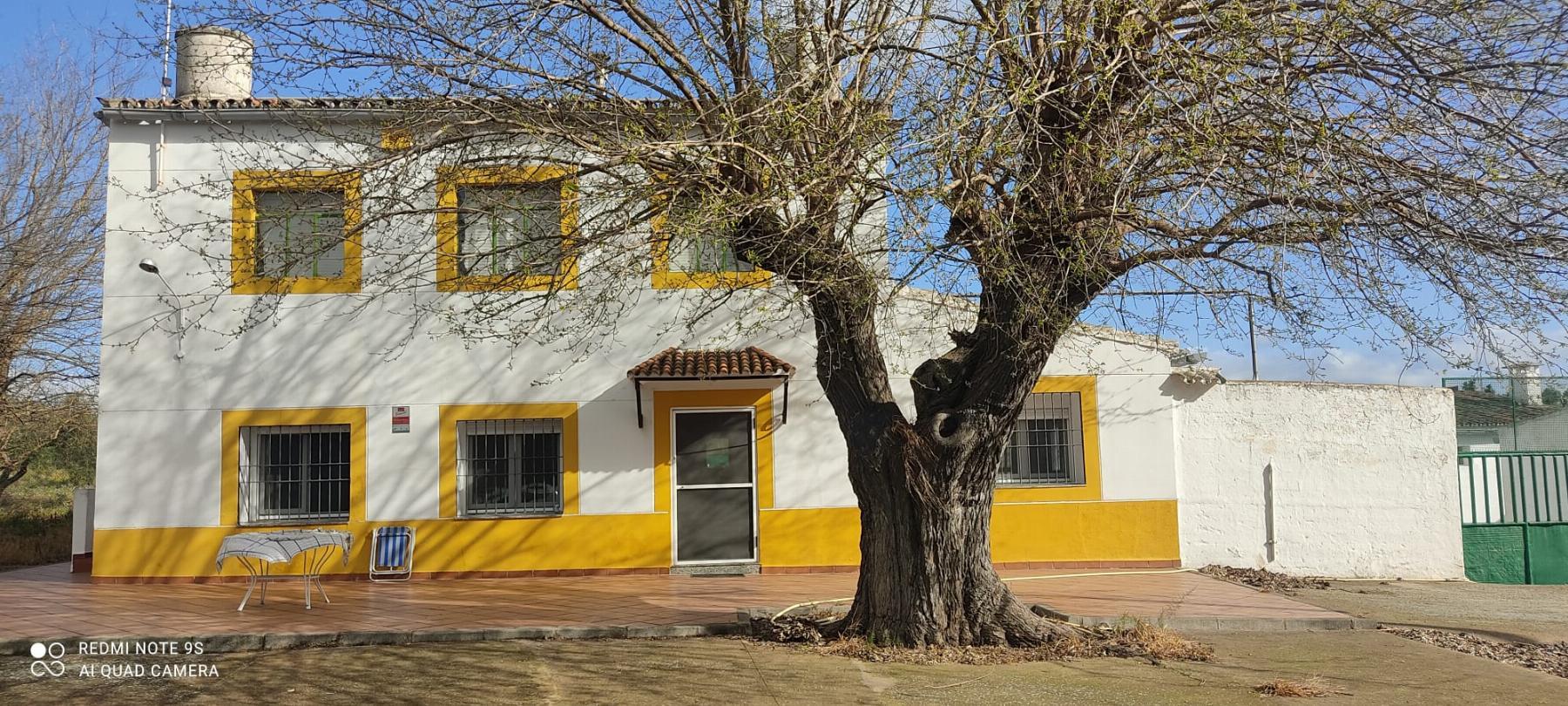 For sale of rural property in Mérida