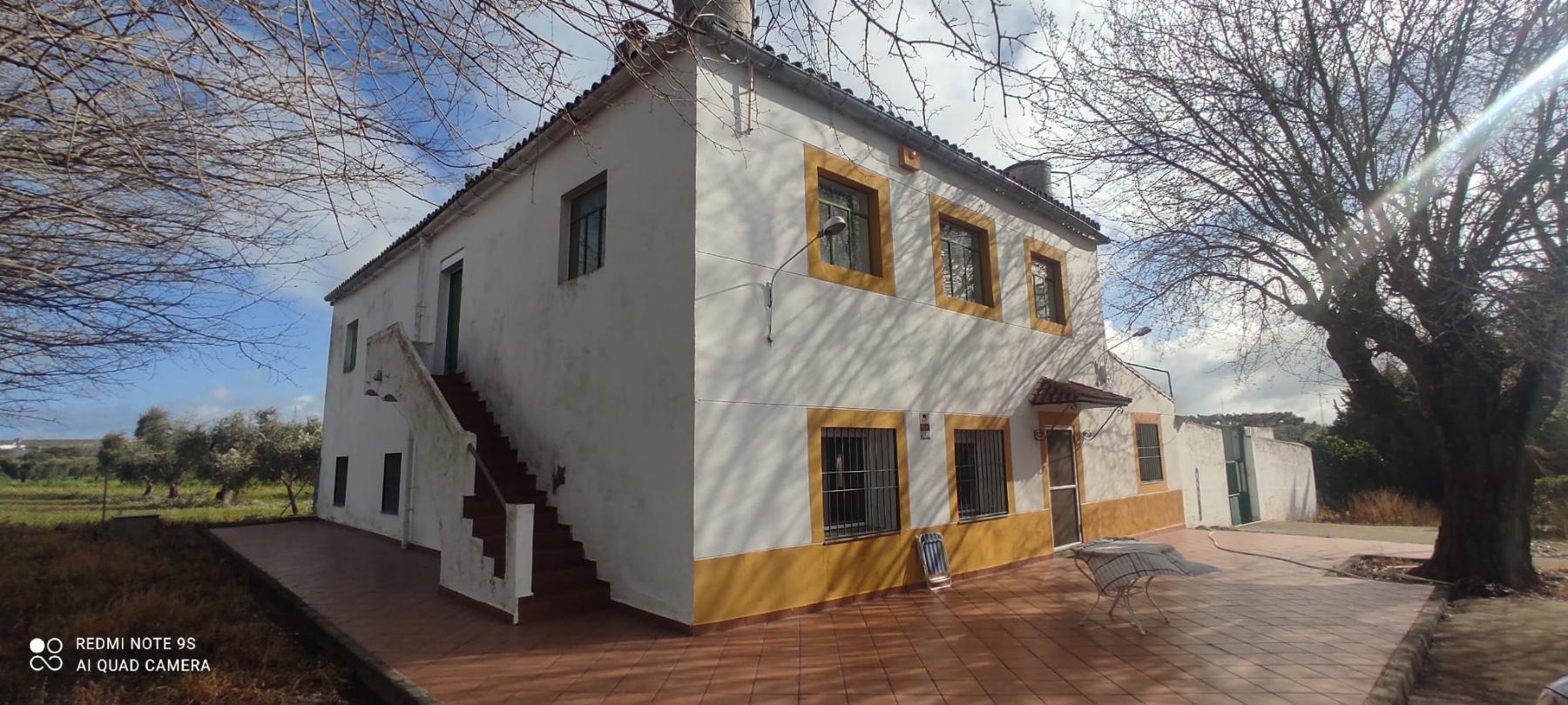 For sale of rural property in Mérida