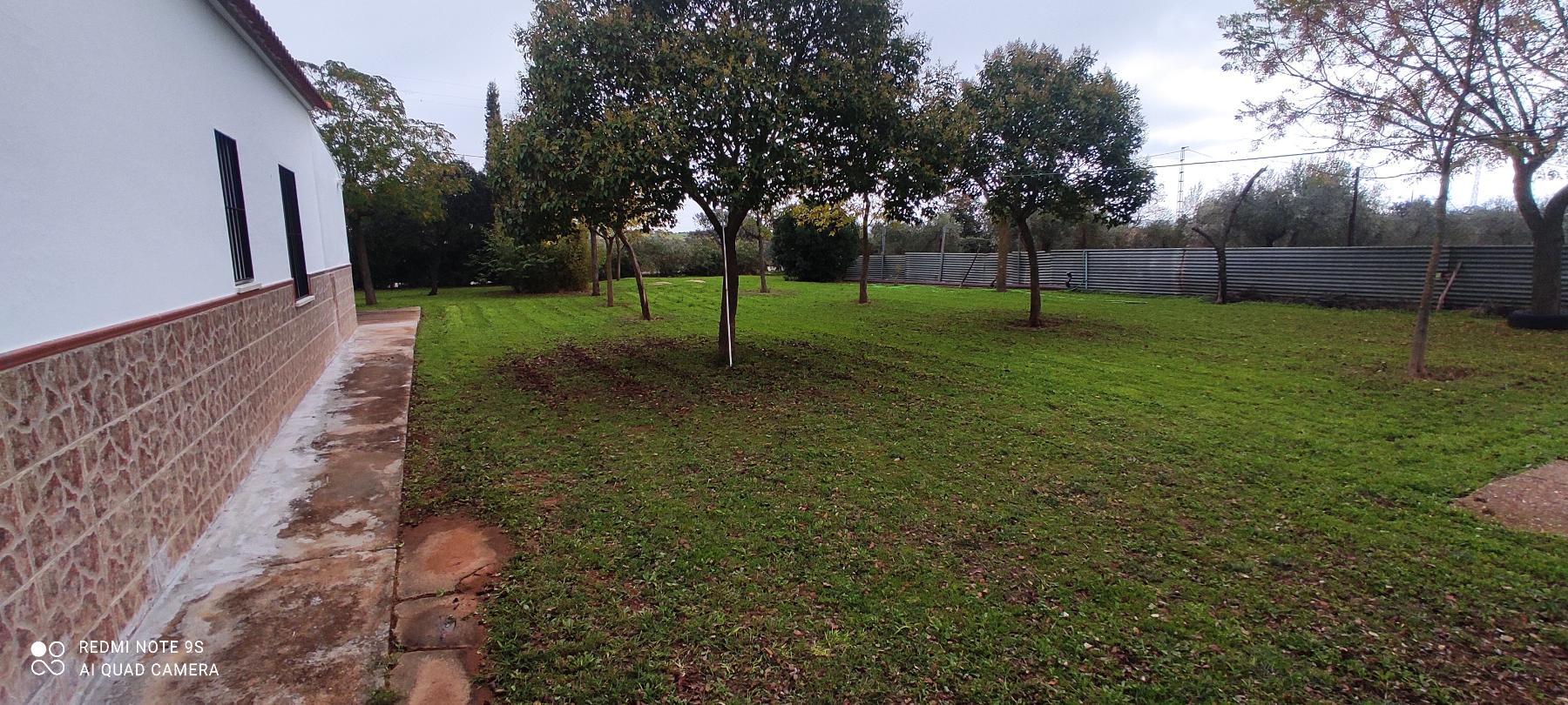 Venta de finca rústica en Mérida