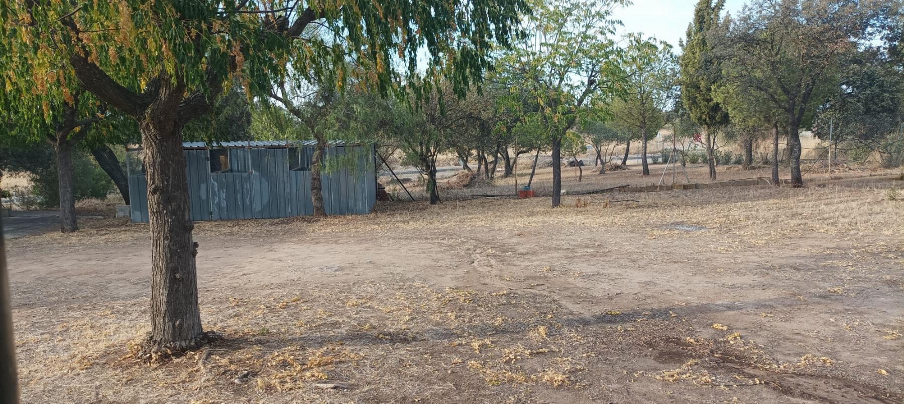 Venta de finca rústica en Mérida