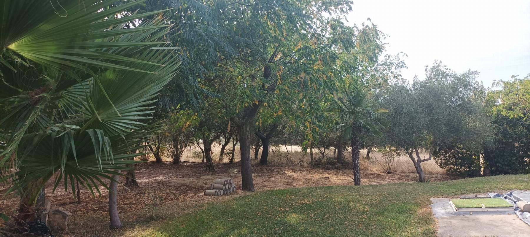 Venta de finca rústica en Mérida