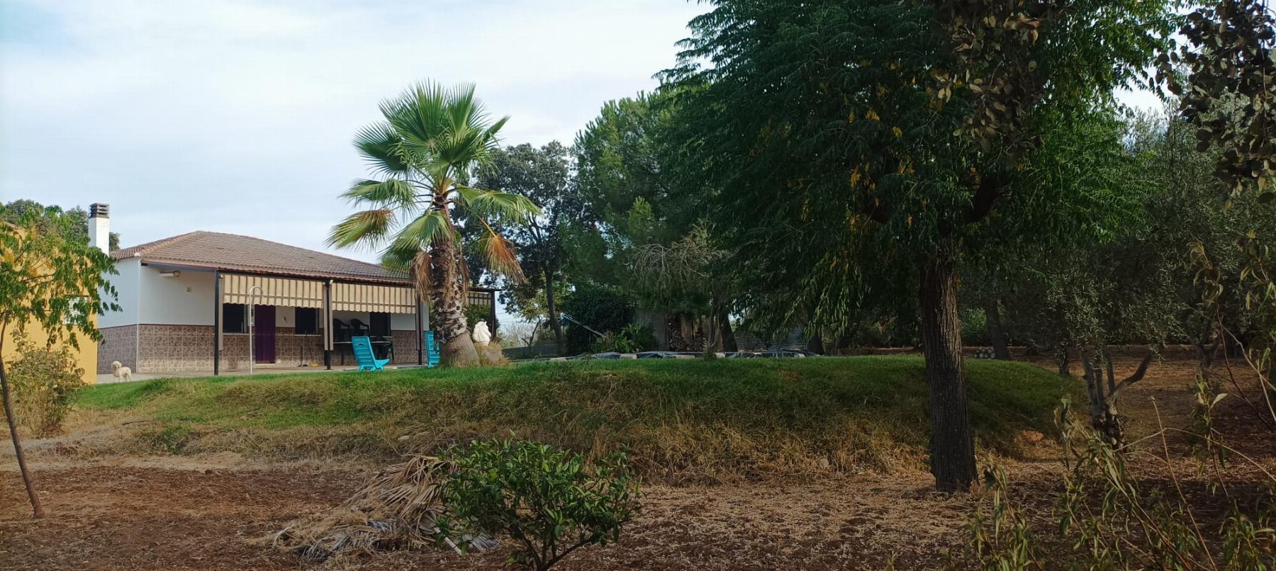 Venta de finca rústica en Mérida