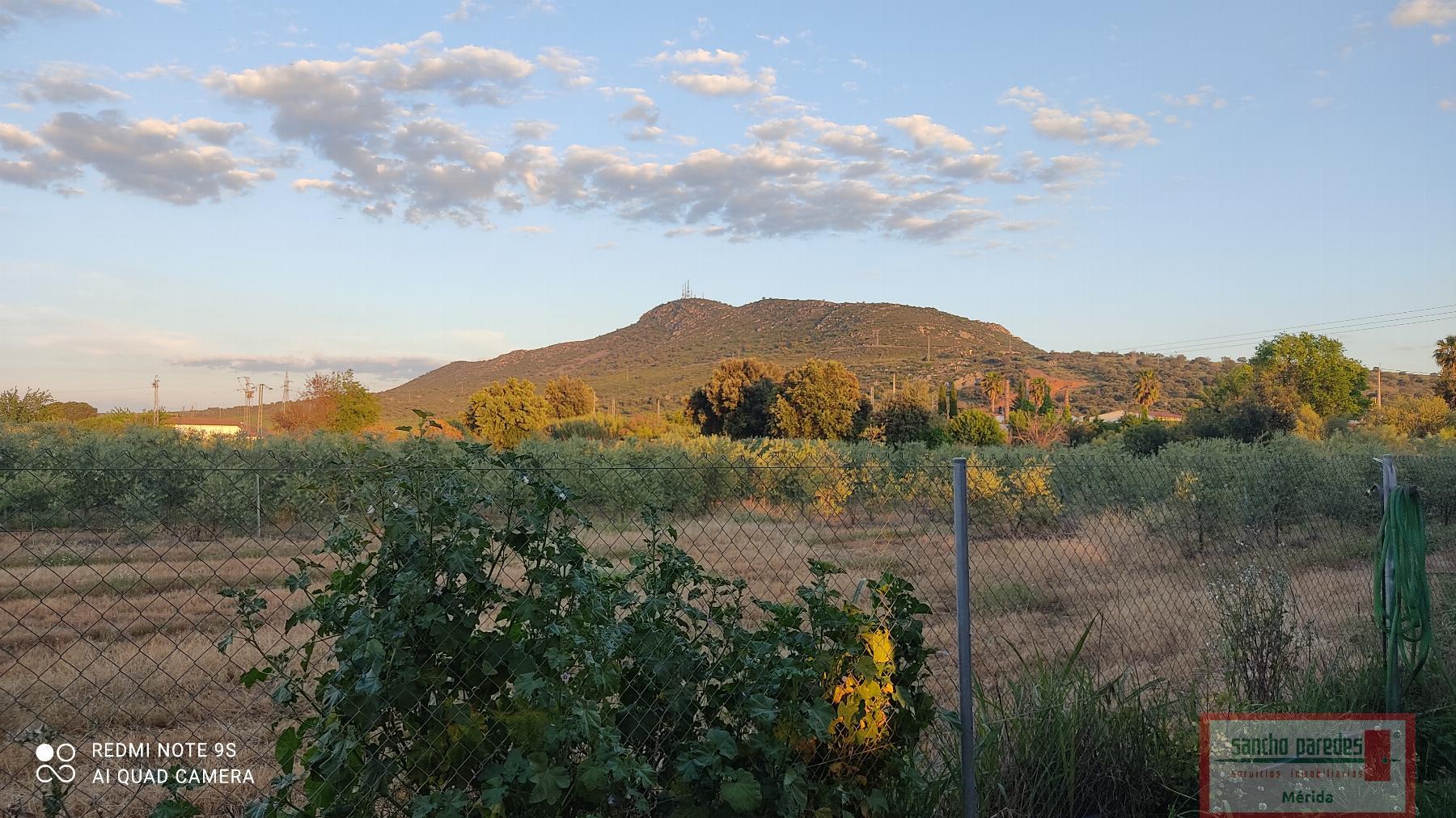 Venta de finca de recreo en Mérida