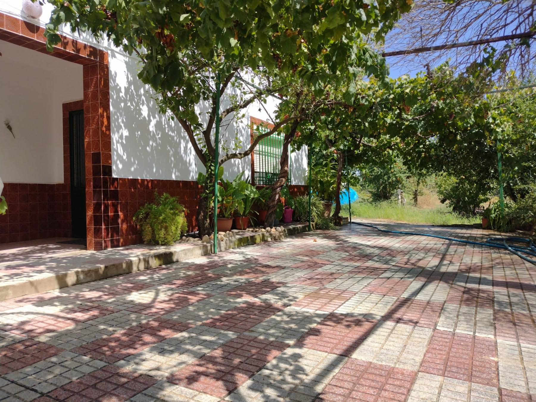 For sale of chalet in Mérida
