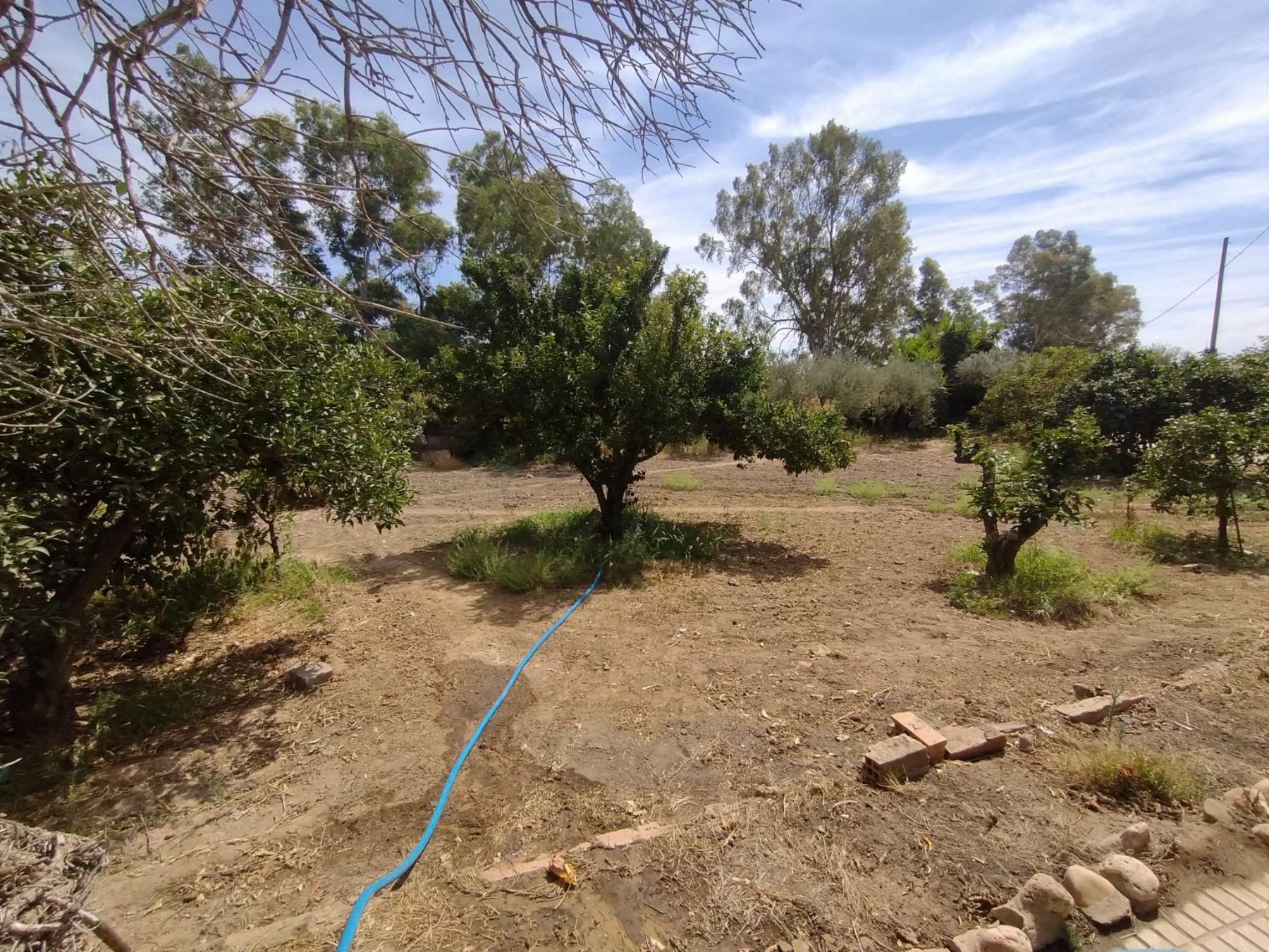 For sale of chalet in Mérida