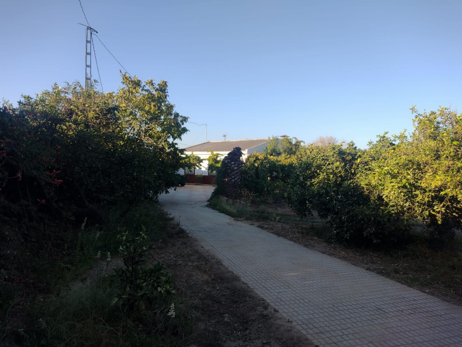 For sale of chalet in Mérida