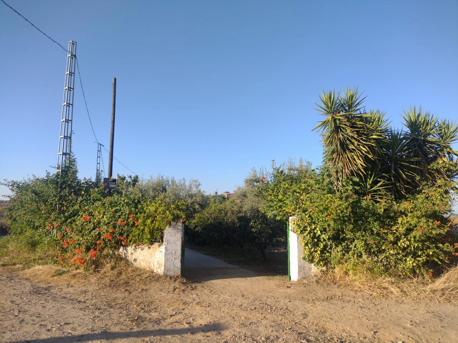 For sale of chalet in Mérida
