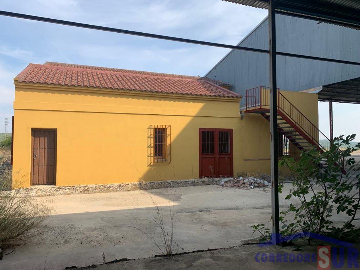 For sale of industrial plant/warehouse in Córdoba