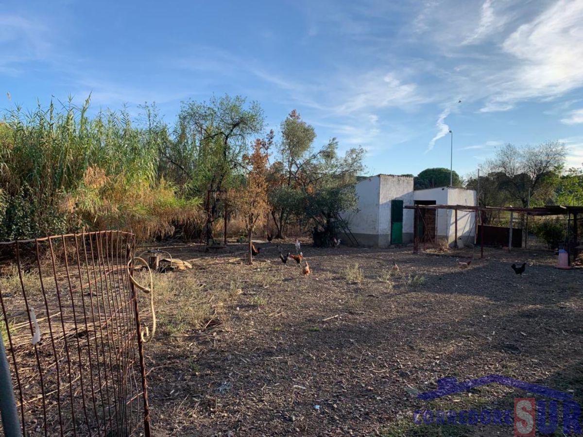 Venta de casa en Obejo