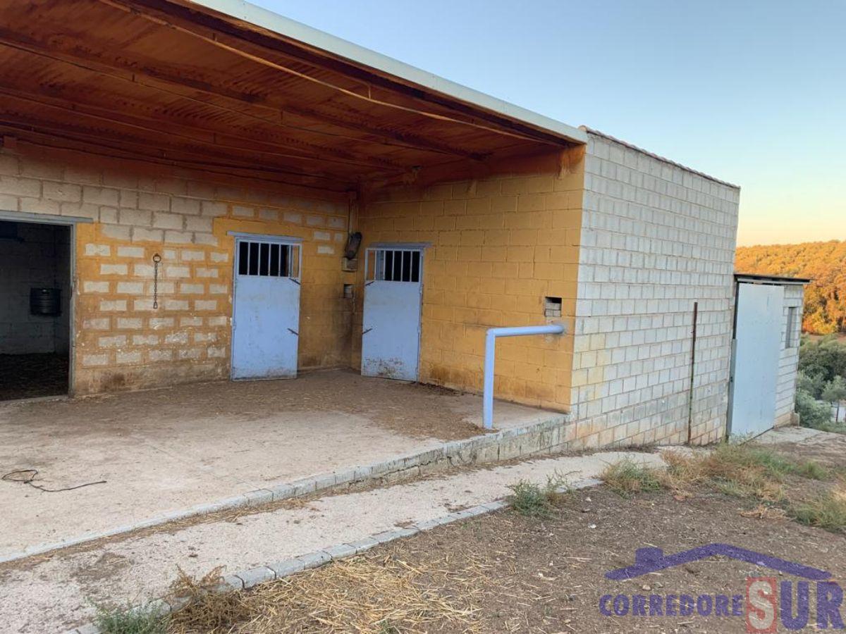 For sale of land in Córdoba