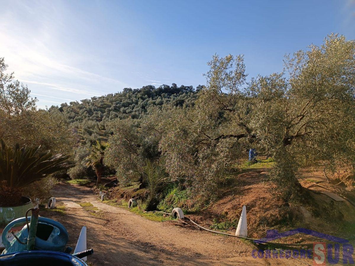 For sale of rural property in Córdoba