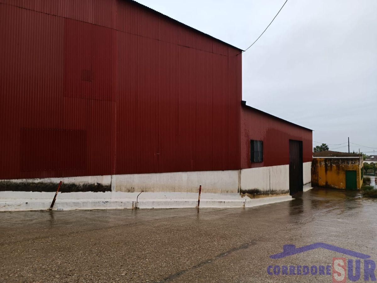 For sale of industrial plant/warehouse in Córdoba