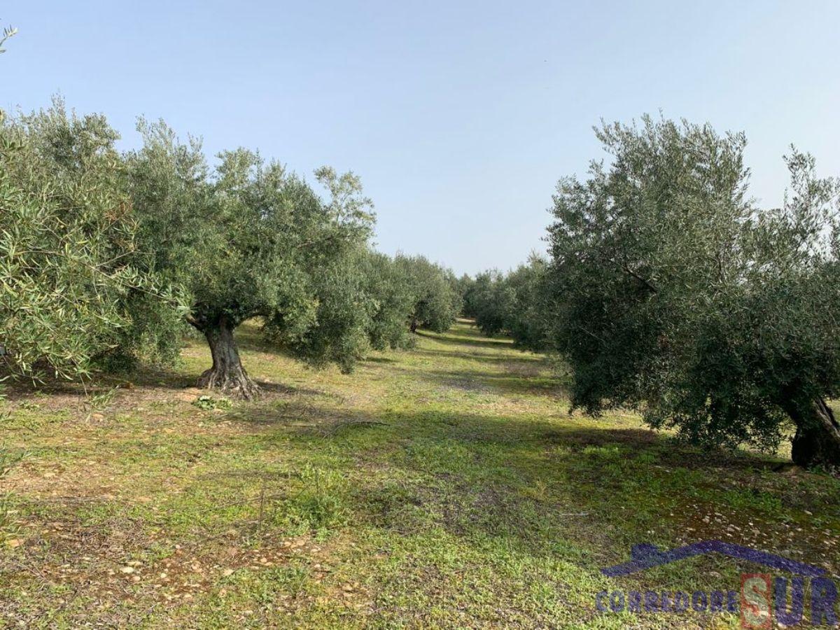 Venta de finca rústica en Córdoba