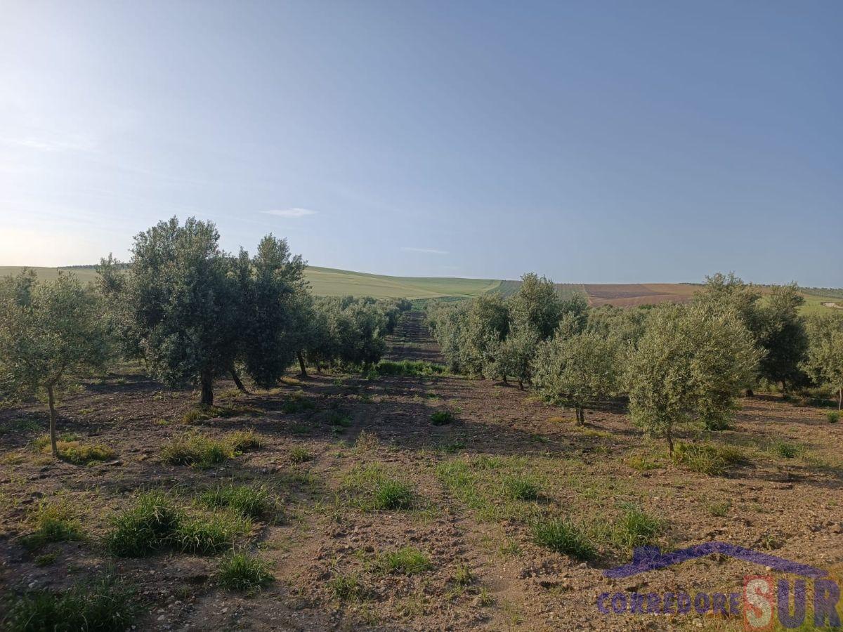 For sale of rural property in Córdoba