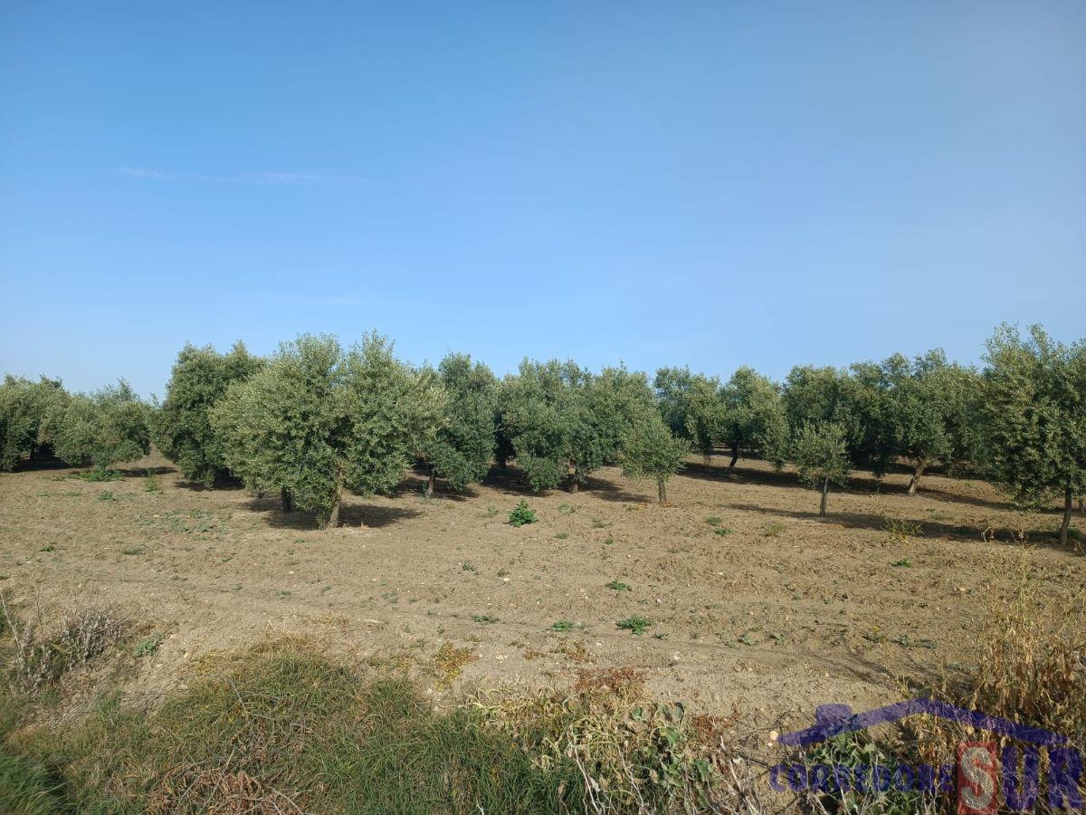 For sale of rural property in Córdoba