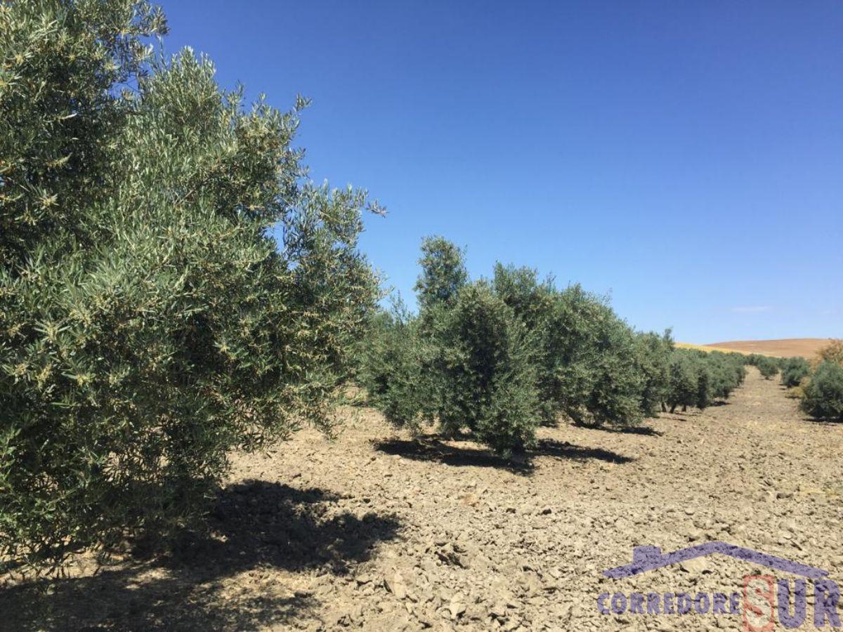 For sale of rural property in Córdoba