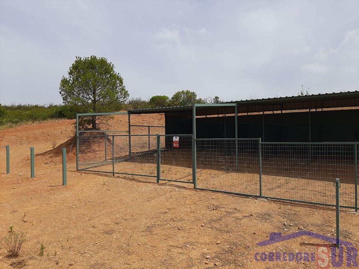 Venta de finca rústica en Córdoba