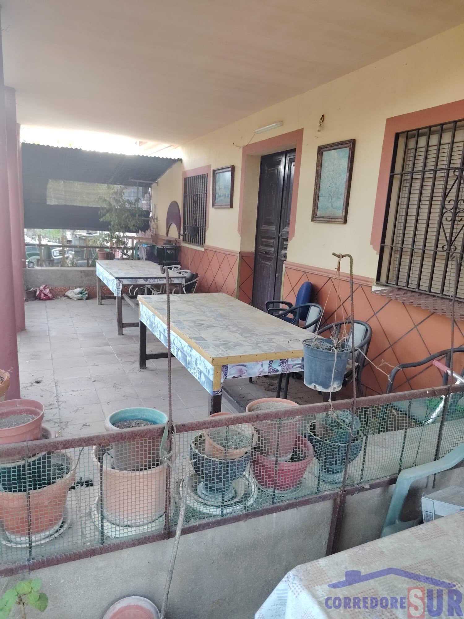 Venta de finca rústica en Córdoba