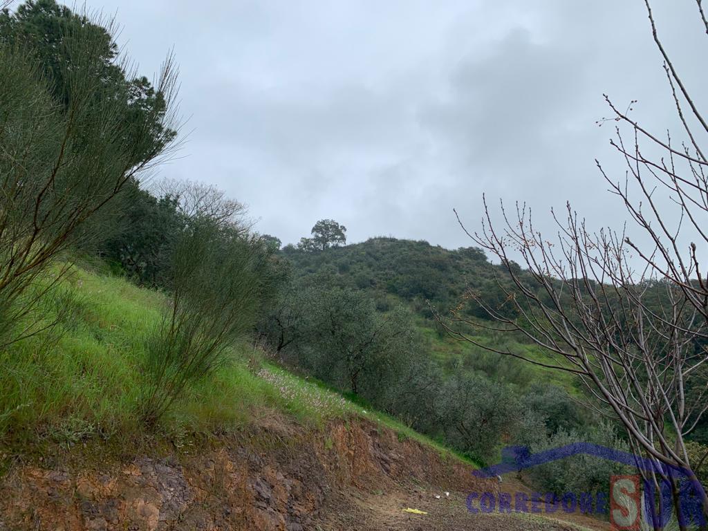 Venta de finca rústica en Córdoba