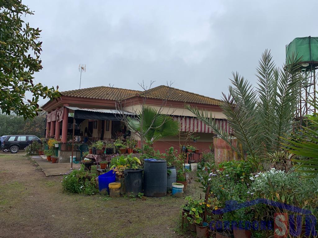 Venta de finca rústica en Córdoba