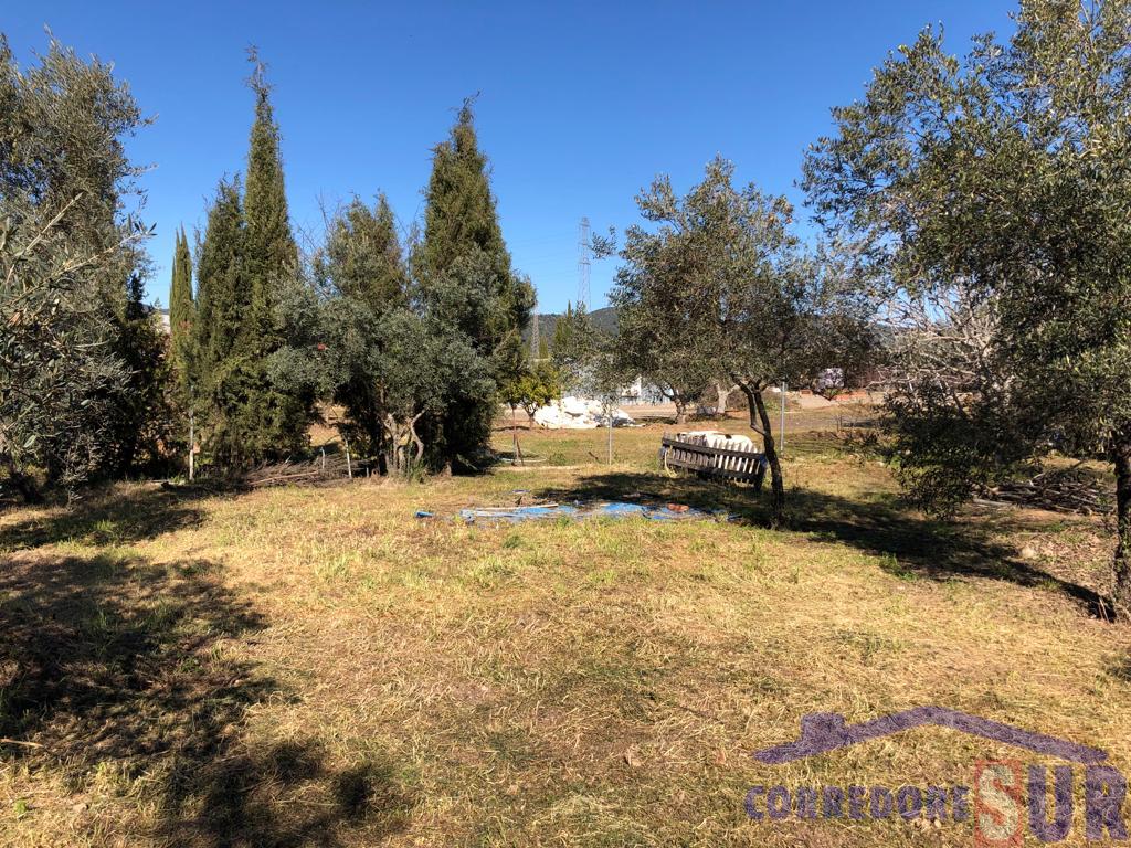 For sale of land in Córdoba