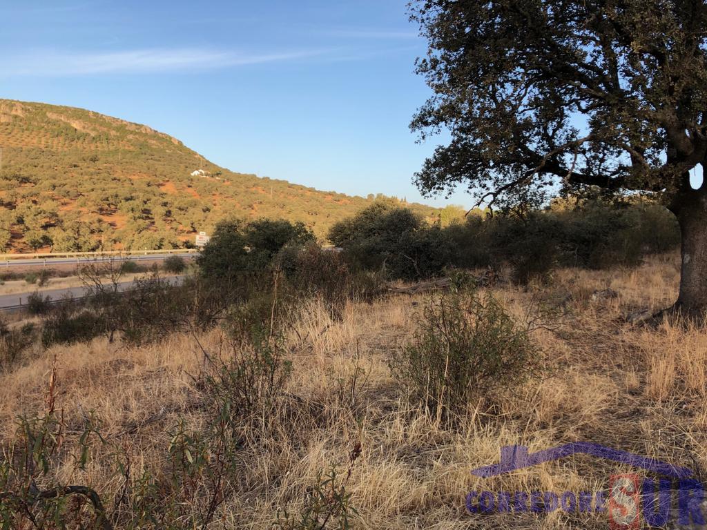 For sale of rural property in Córdoba