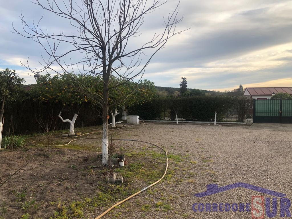 For sale of land in Córdoba