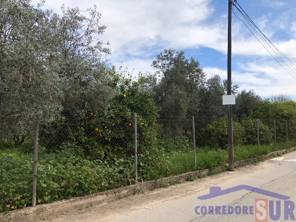 For sale of land in Córdoba